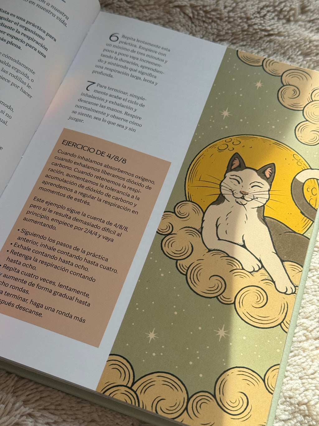Gatos y Meditación | Guía de Ejercicios inspirados en los Felinos