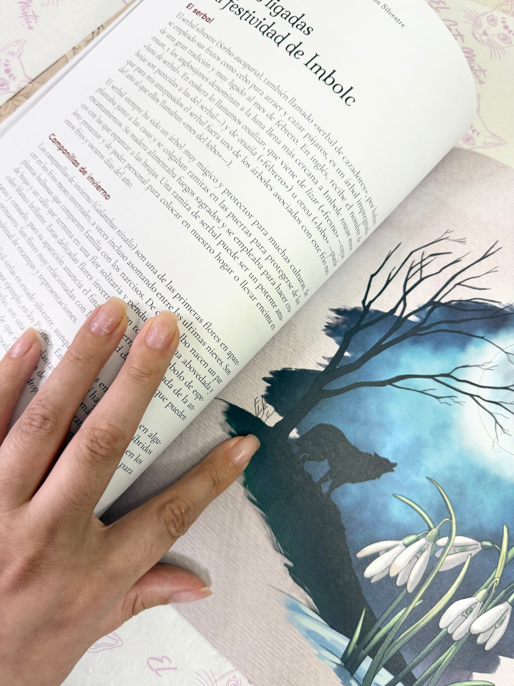 Tradición Silvestre | Celebra la Rueda del Año y te conecta con la naturaleza y sus ciclos