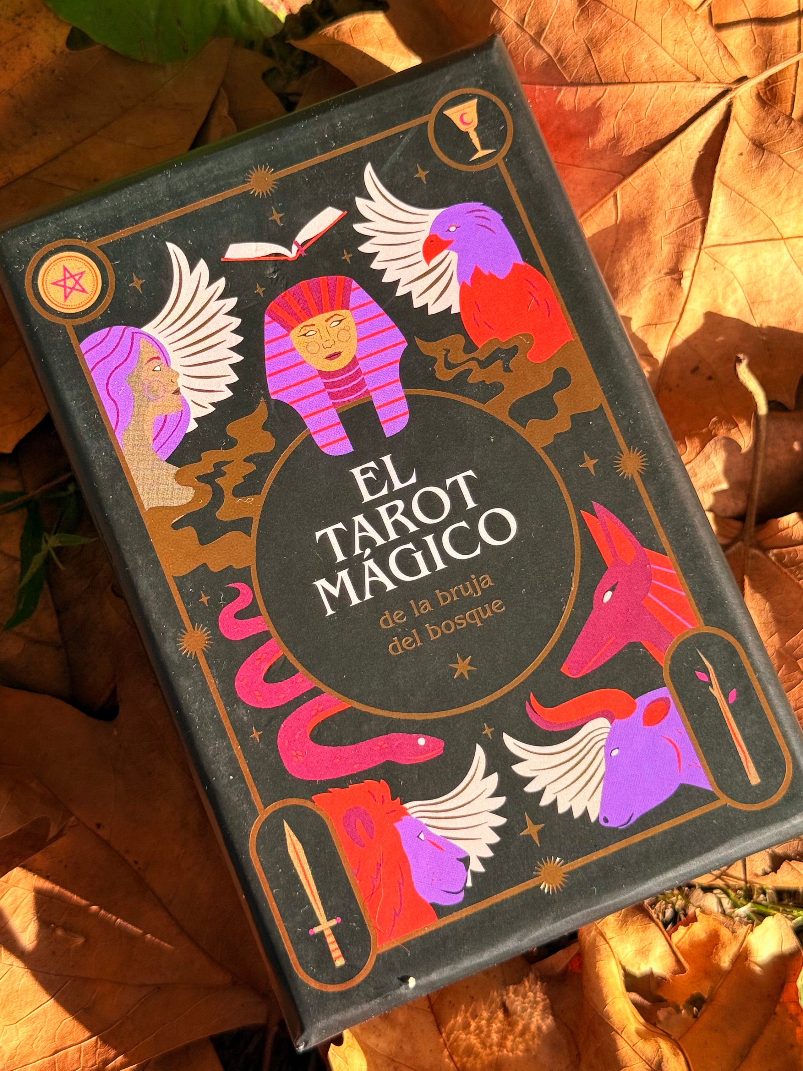 El Tarot Mágico de la Bruja del Bosque | 78 cartas + guía