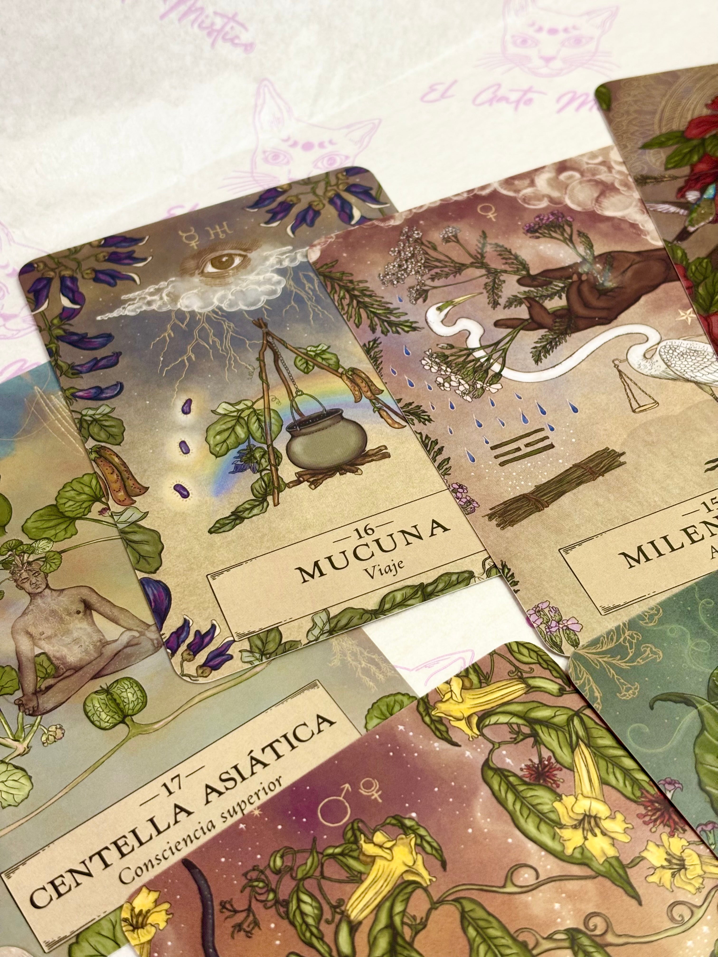 Astrología Herbal | Oráculo