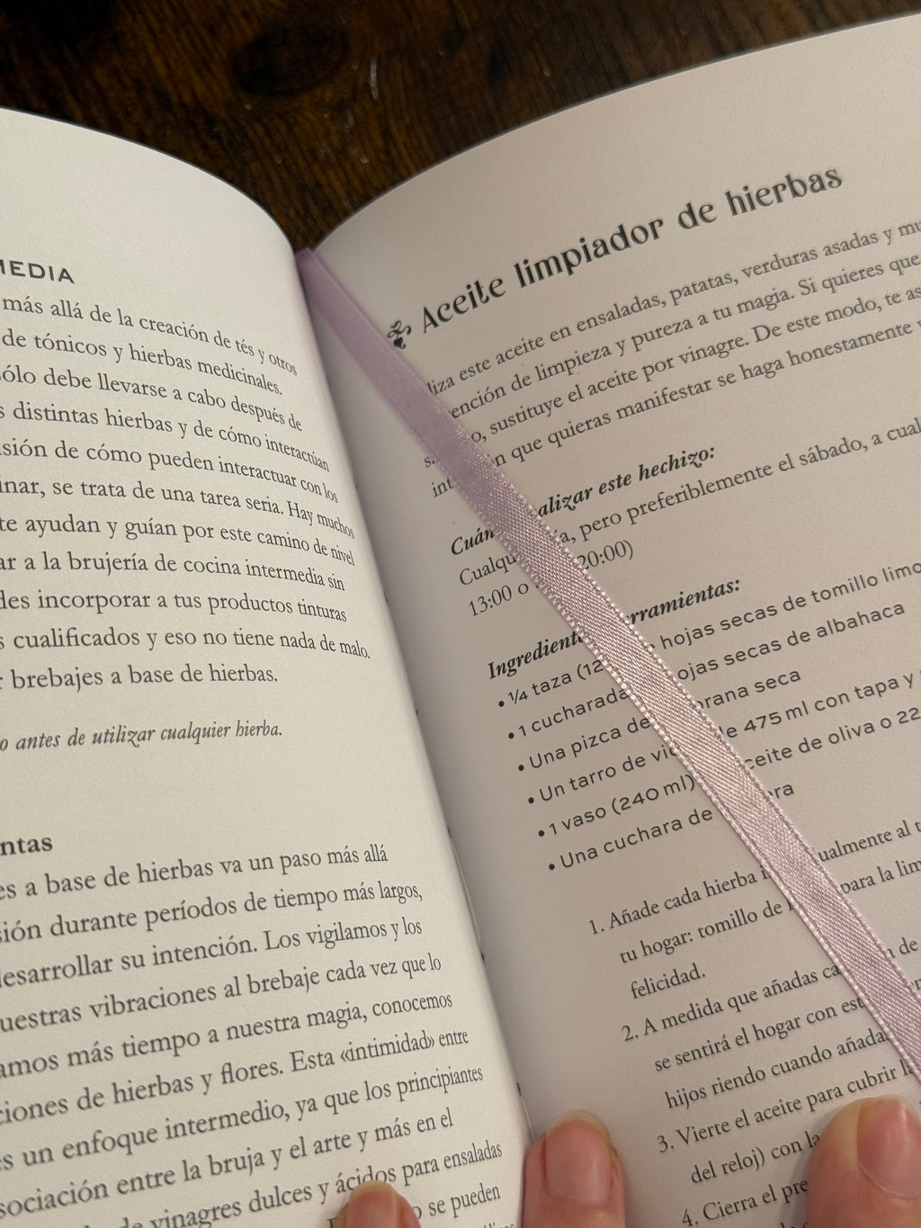 La Bruja Contemporánea
