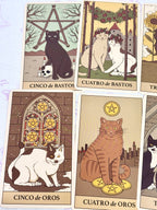 El Tarot de los Gatos. Estuche libro y cartas