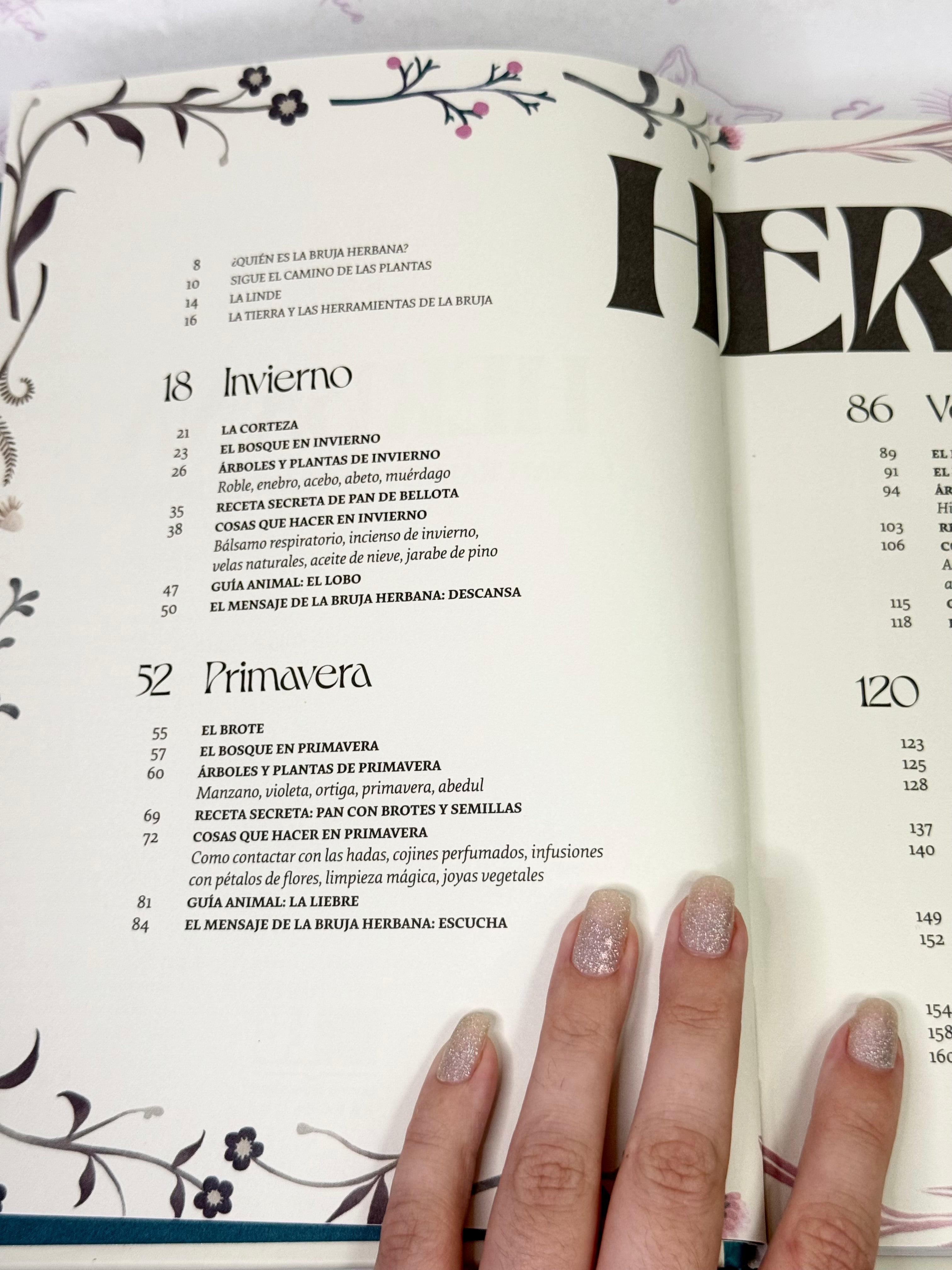 Herbana | La naturaleza Mística del Bosque