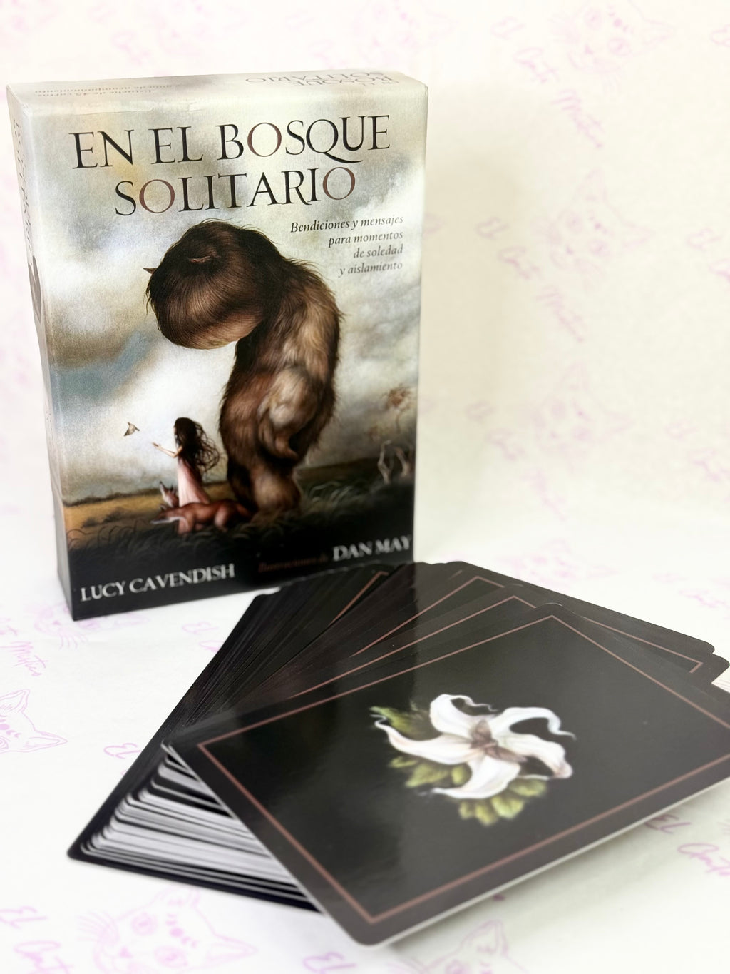 Oráculo En el Bosque Solitario | Bendiciones y Mensajes para momentos de soledad