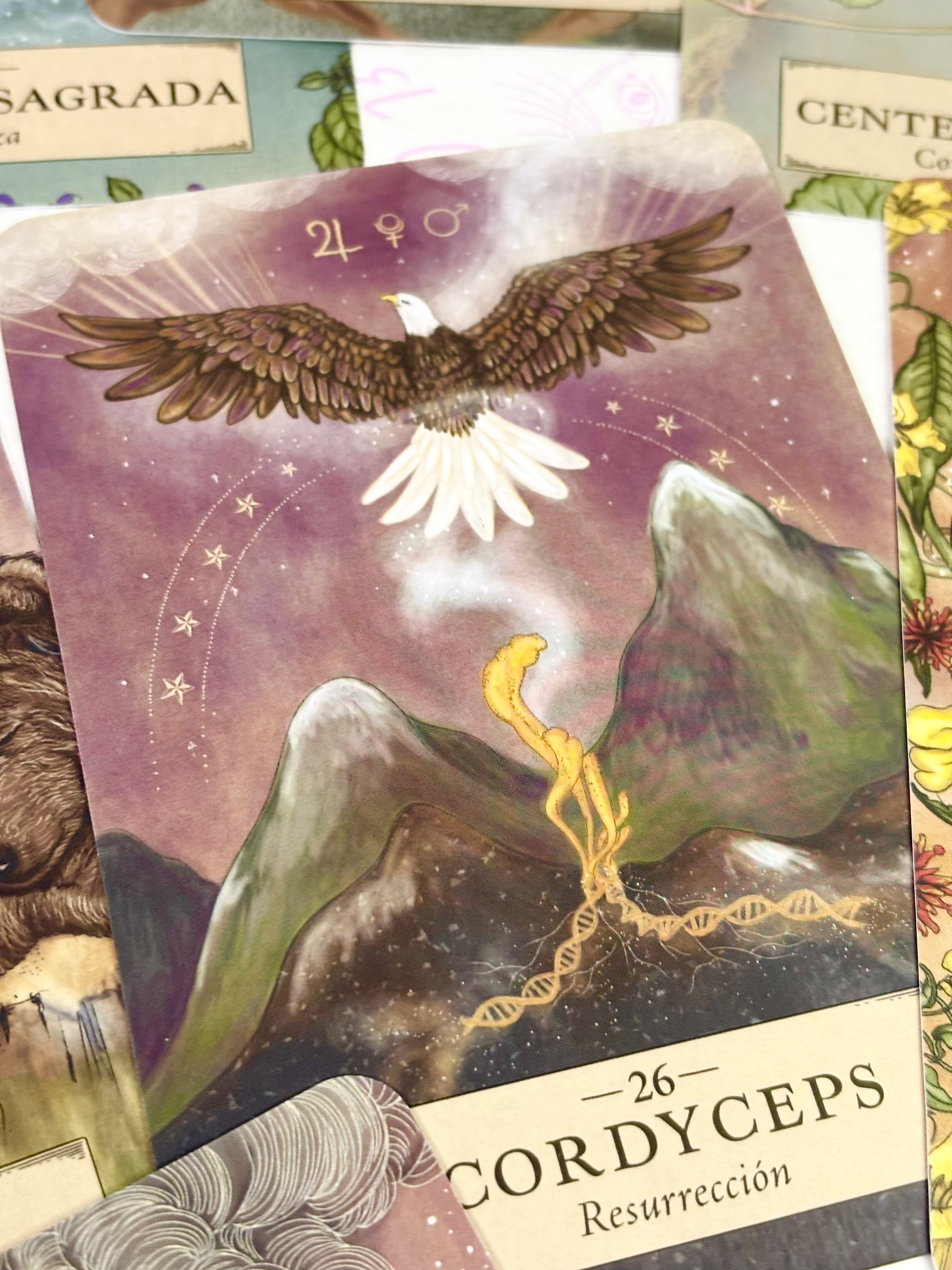 Astrología Herbal | Oráculo