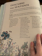 La Bruja Verde | Una mágica inmersión en el encanto de la brujería natural | Libro Ilustrado