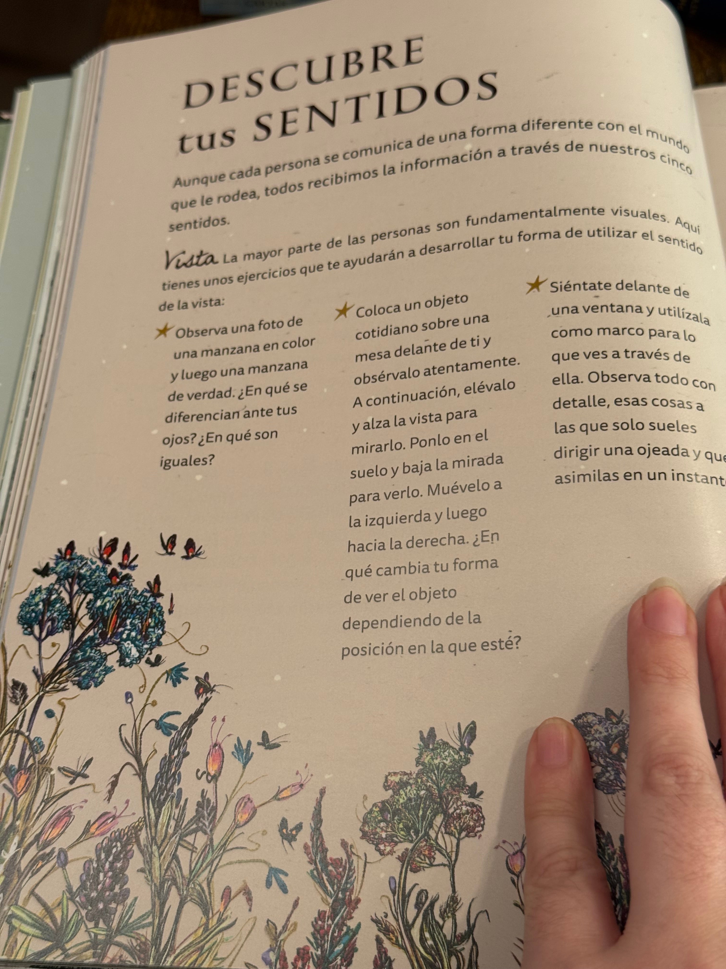 La Bruja Verde | Una mágica inmersión en el encanto de la brujería natural | Libro Ilustrado