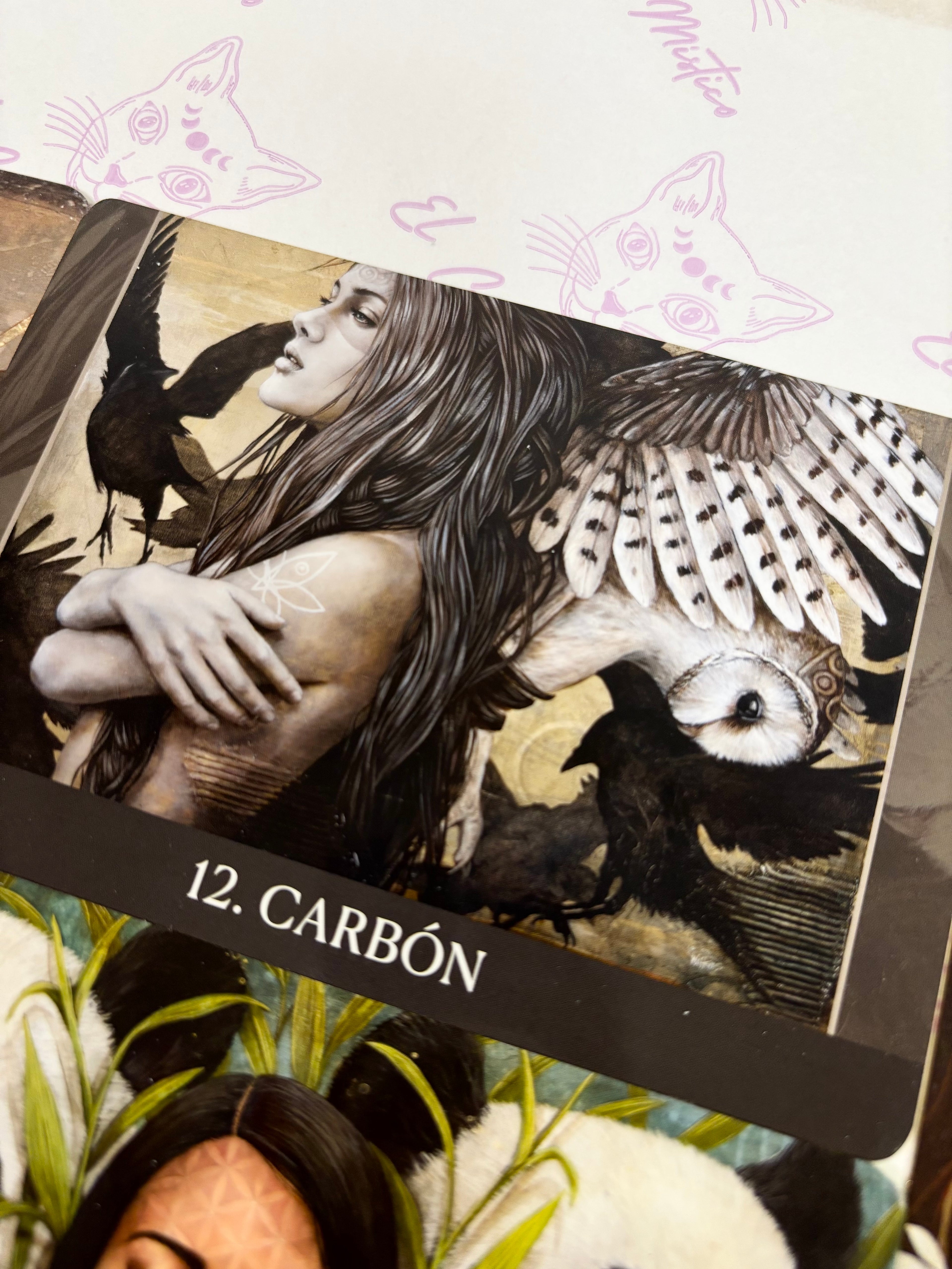 El Oráculo de la Medicina del Corazón