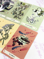 Herbana | Oráculo de la Bruja | 50 cartas + guía