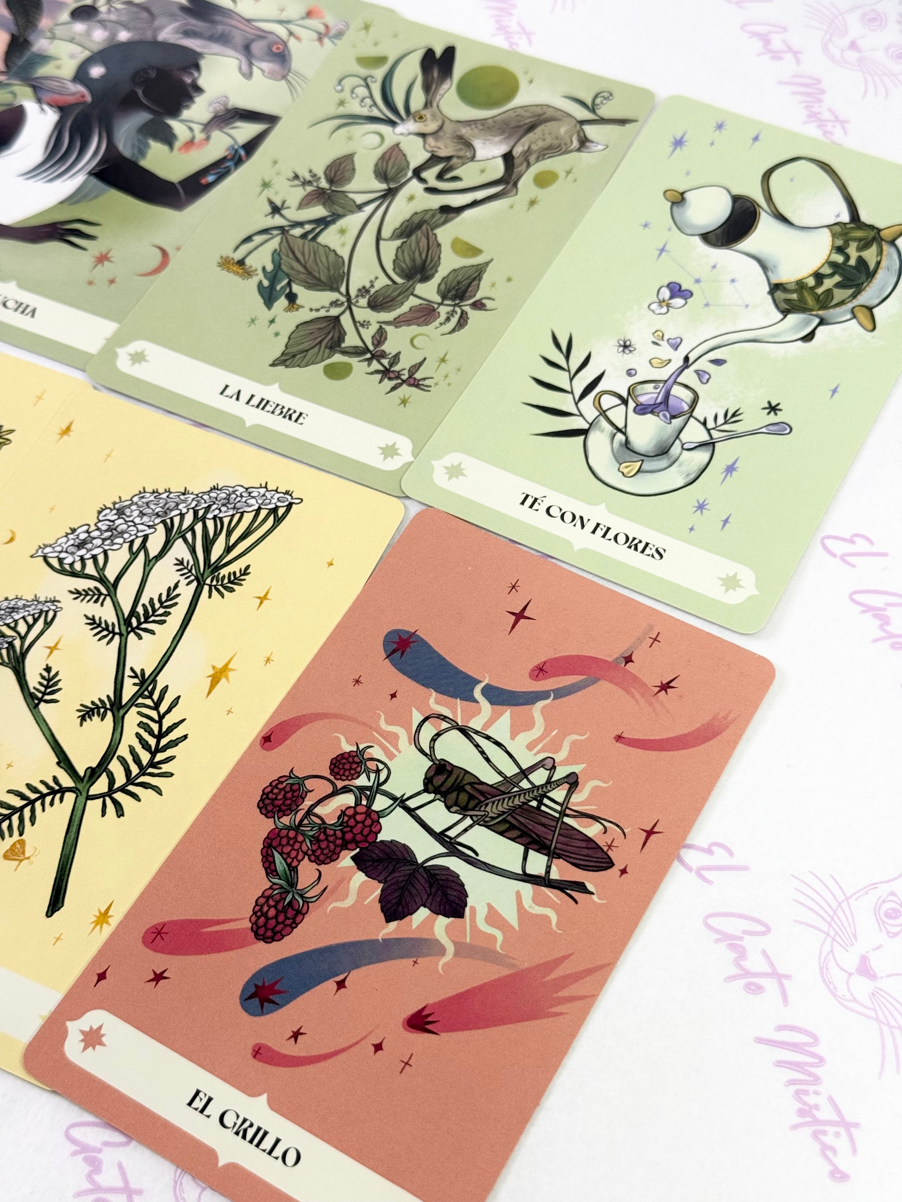 Herbana | Oráculo de la Bruja | 50 cartas + guía