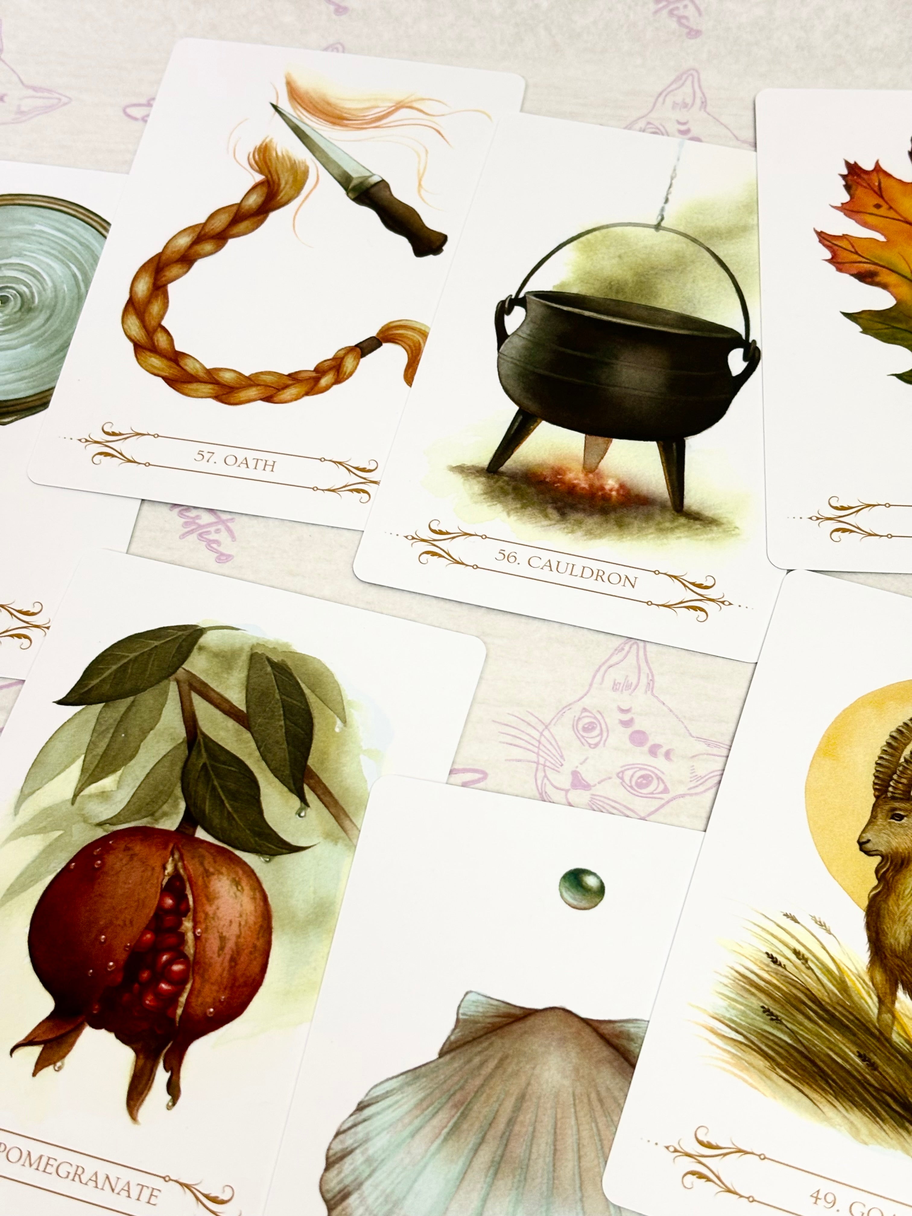 Oráculo A Compendium of Witches | Cartas+libro en 4 idiomas