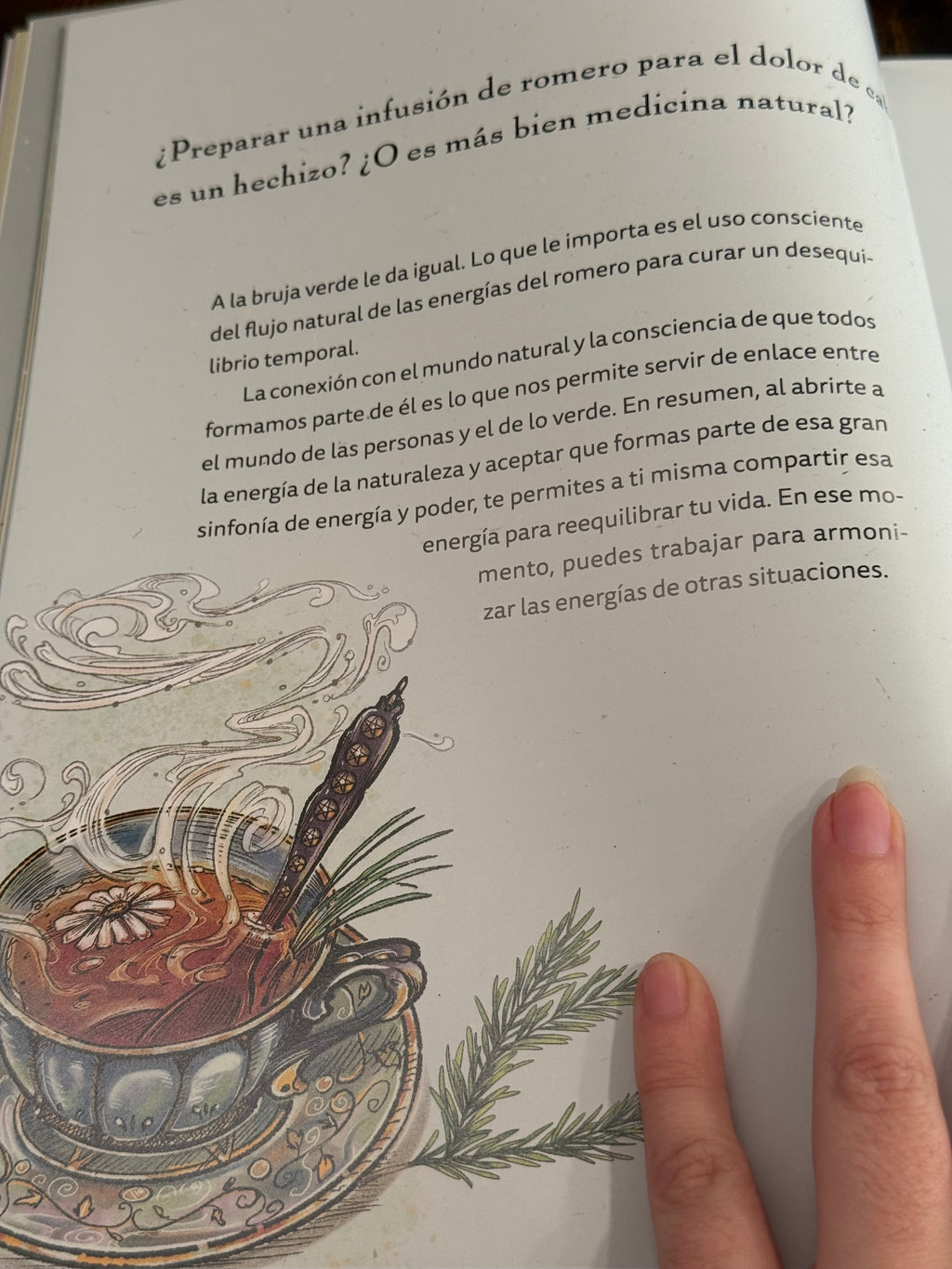 La Bruja Verde | Una mágica inmersión en el encanto de la brujería natural | Libro Ilustrado