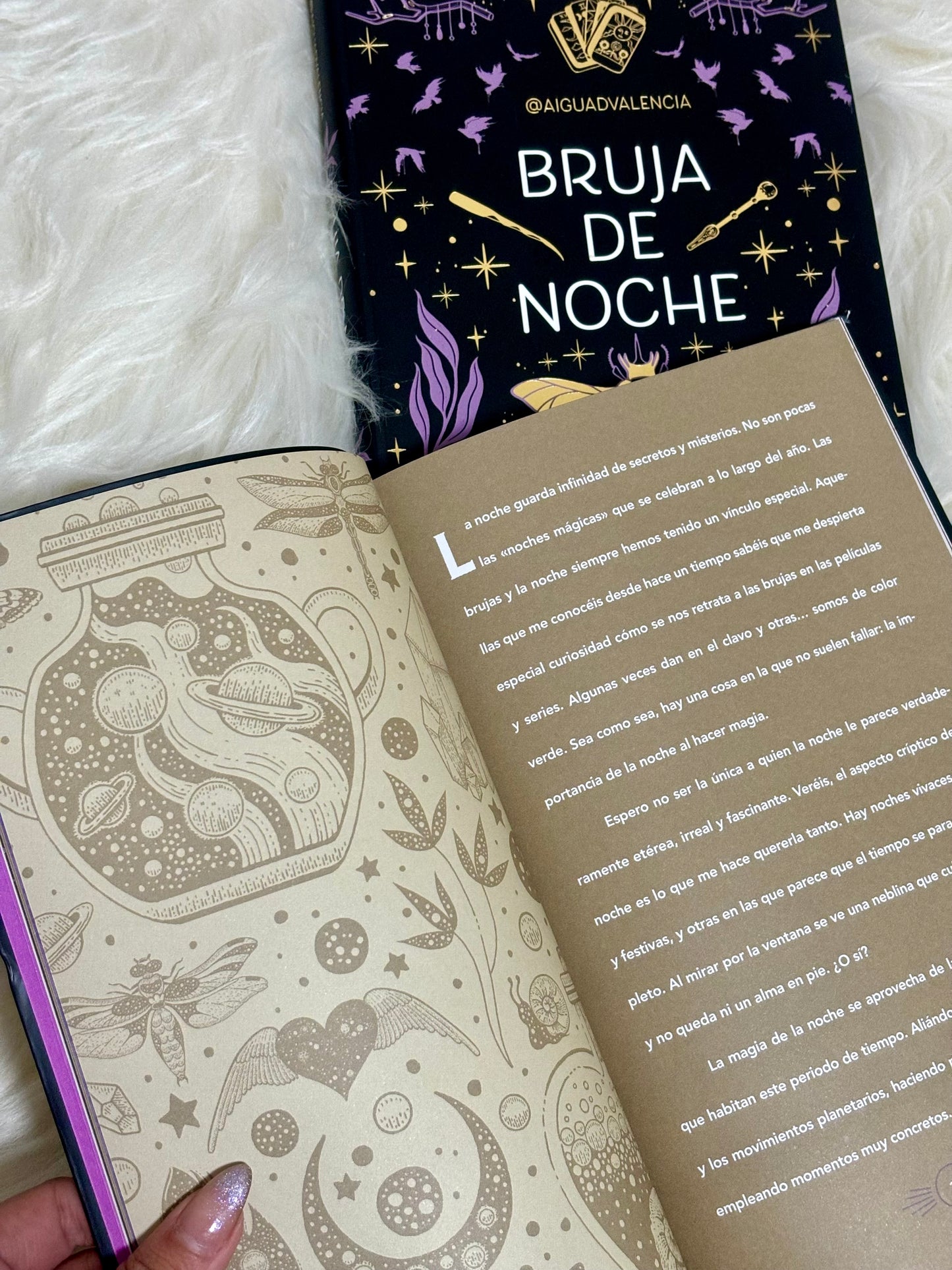 Libro Bruja de Noche