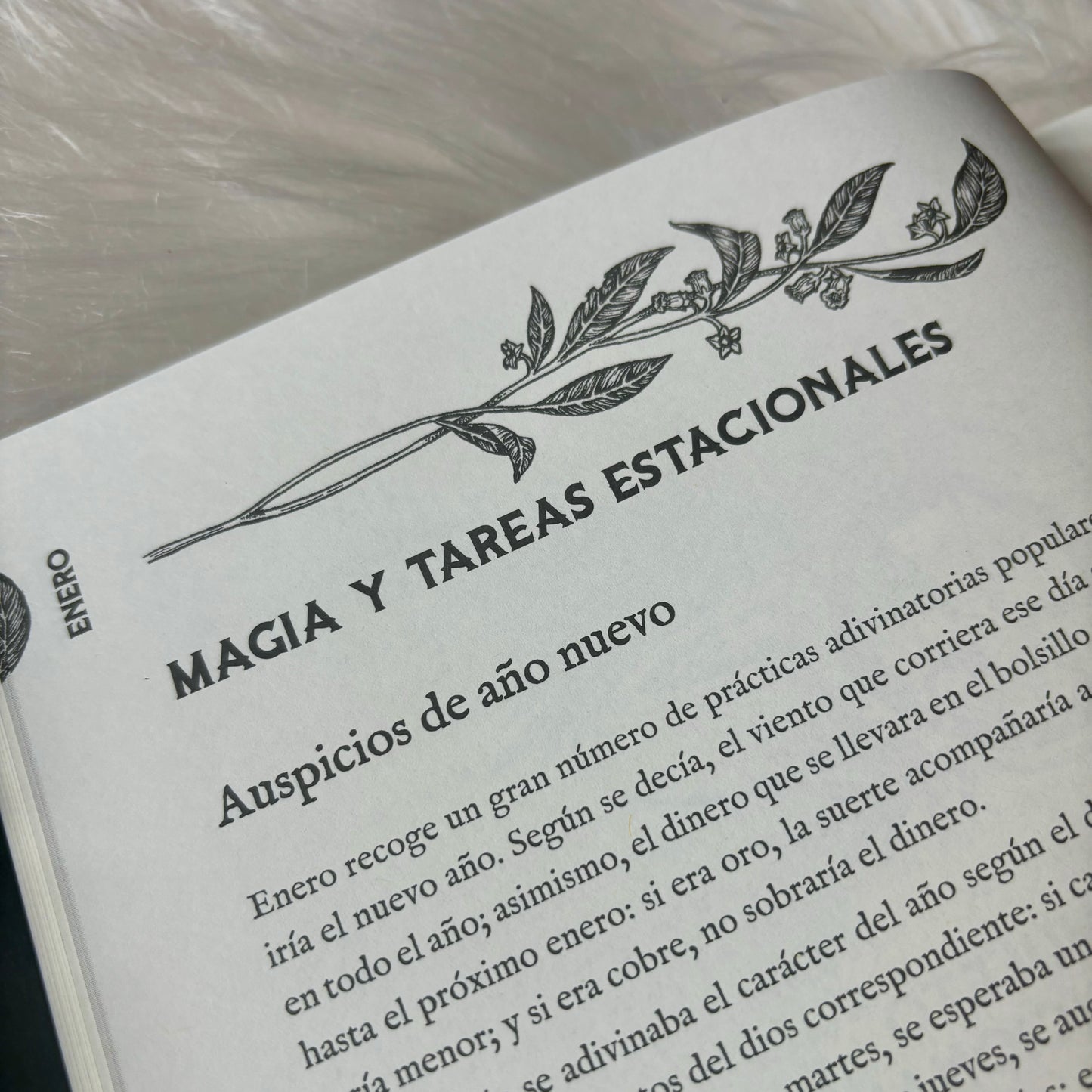 Almanaque de la Bruja Tradicional - Rituales, magia y folclore a lo largo del año