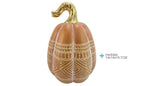 Calabaza alargada “Solsticio”