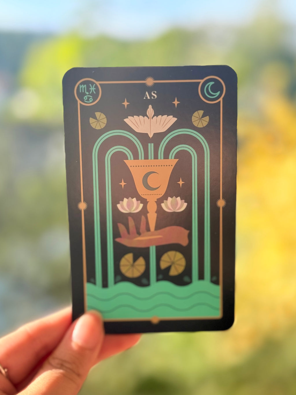 El Tarot Mágico de la Bruja del Bosque | 78 cartas + guía