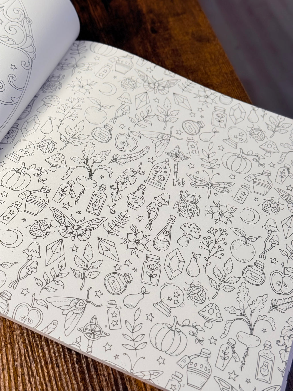 Mundos Mágicos: Una fantástica Aventura para colorear | Libro para adultos