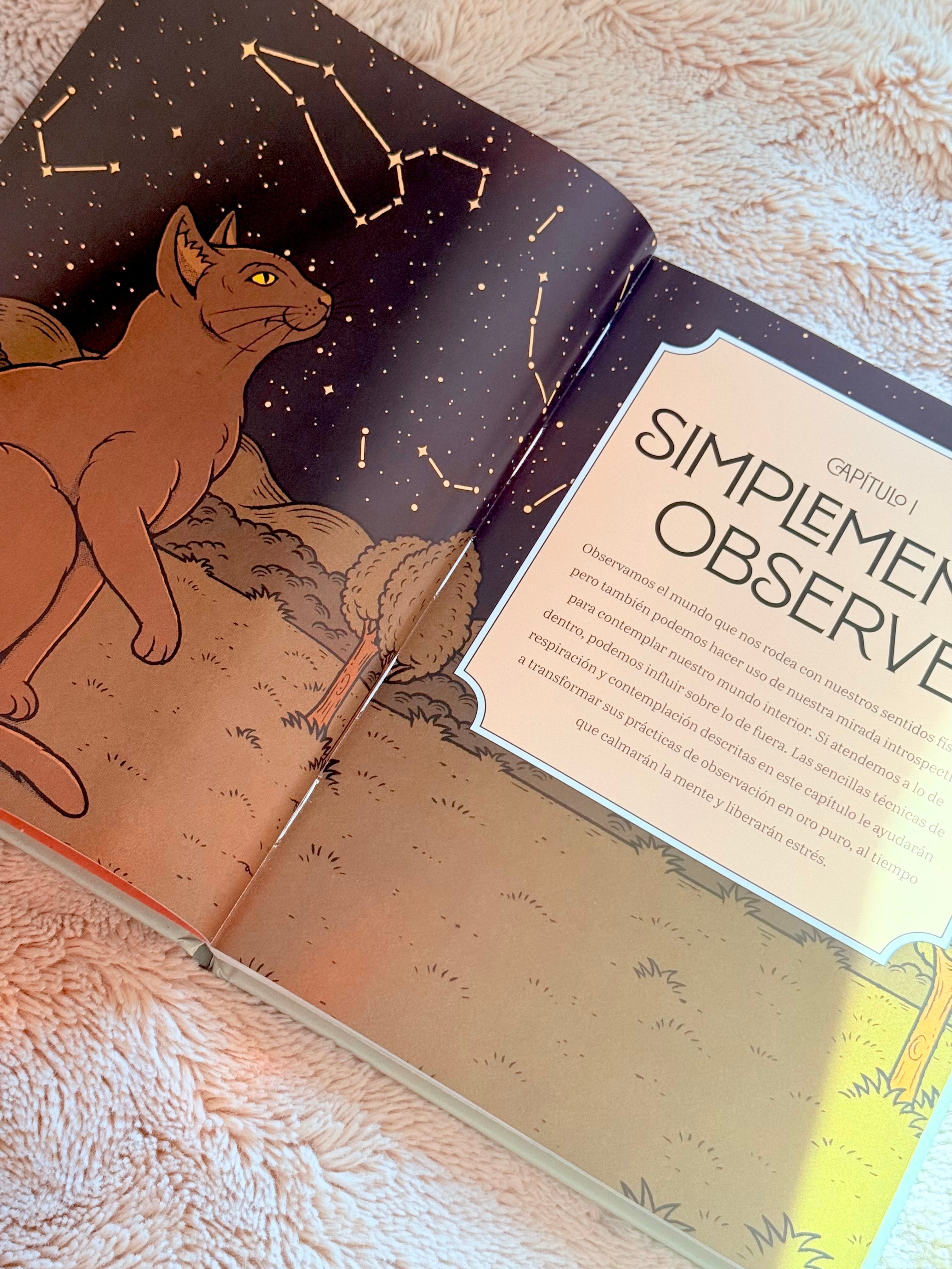 Gatos y Meditación | Guía de Ejercicios inspirados en los Felinos