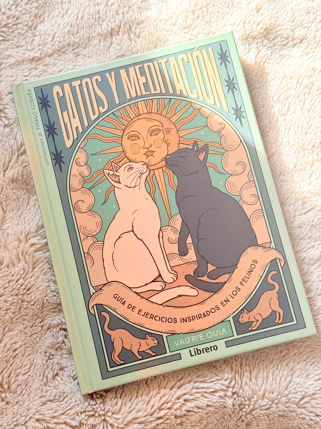 Gatos y Meditación | Guía de Ejercicios inspirados en los Felinos