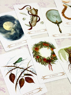 Oráculo A Compendium of Witches | Cartas+libro en 4 idiomas