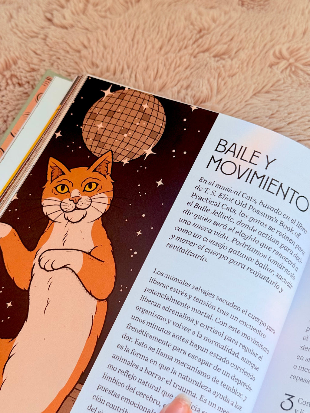 Gatos y Meditación | Guía de Ejercicios inspirados en los Felinos