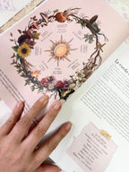 Tradición Silvestre | Celebra la Rueda del Año y te conecta con la naturaleza y sus ciclos