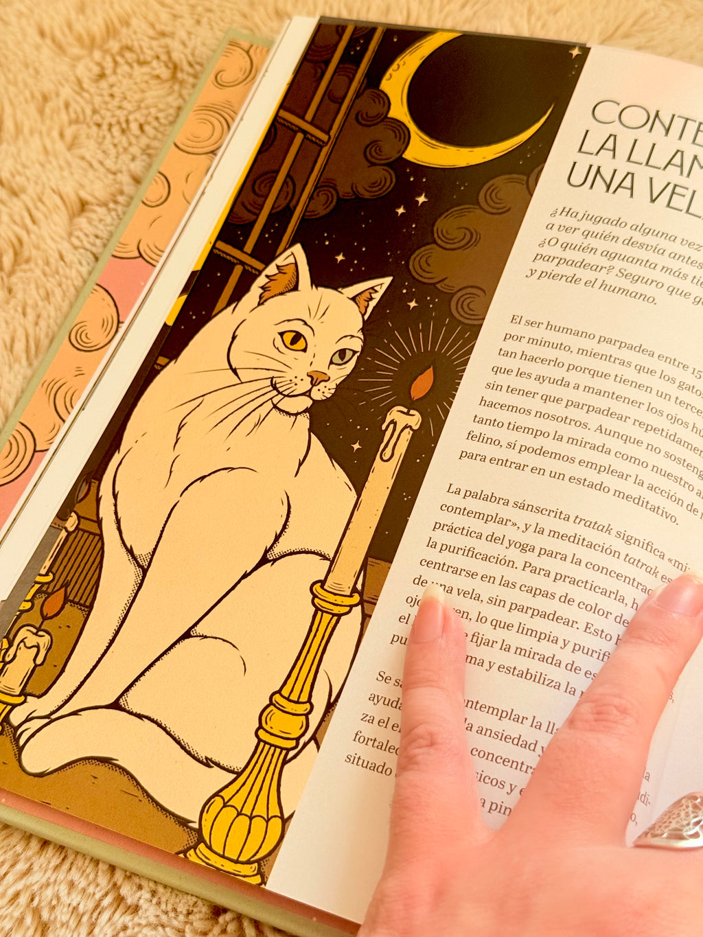 Gatos y Meditación | Guía de Ejercicios inspirados en los Felinos