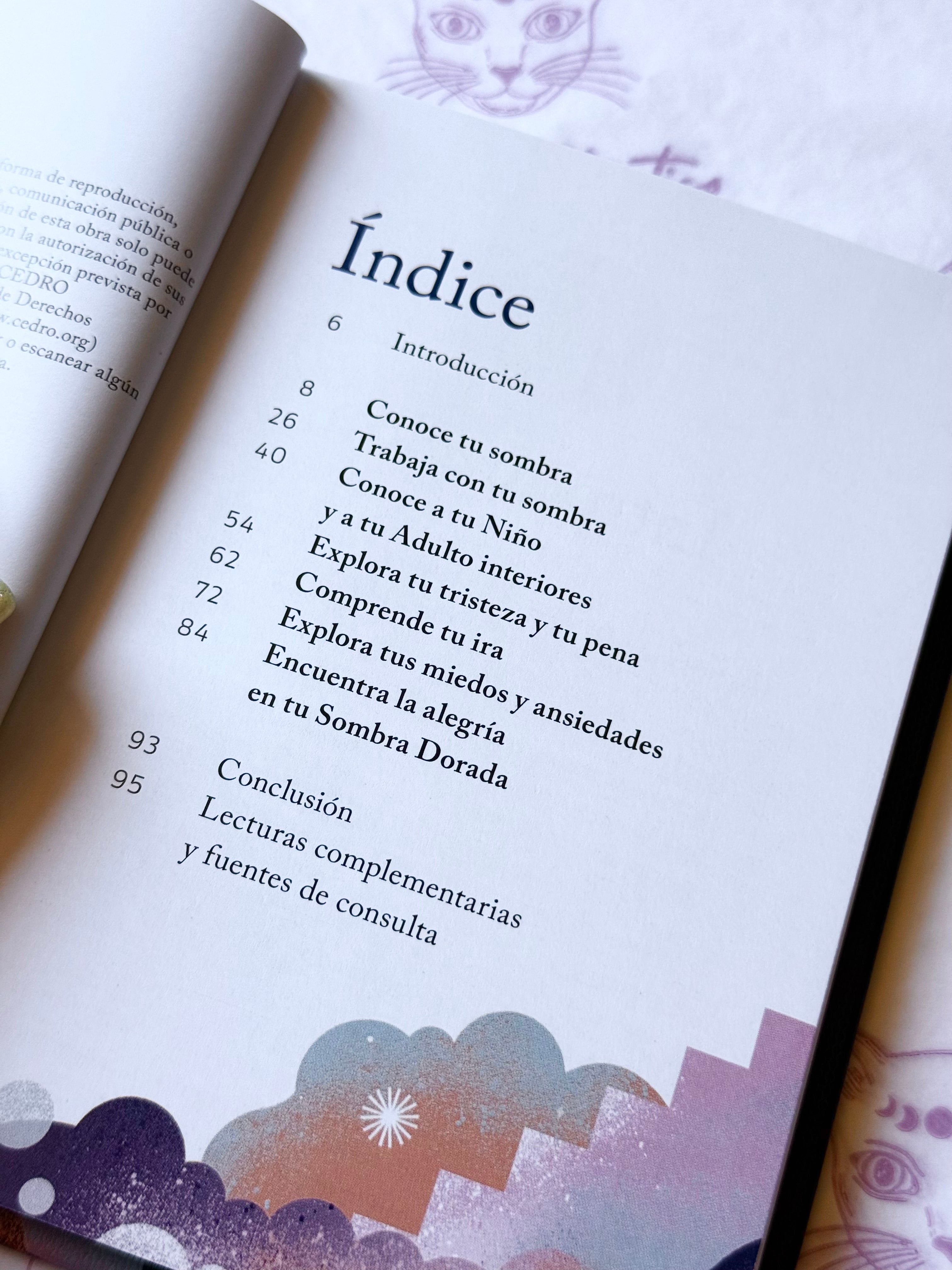 El pequeño libro del Trabajo de sombras