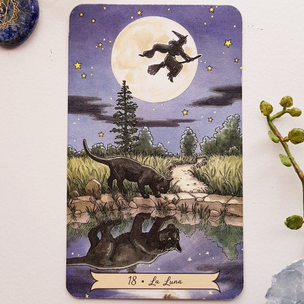 Tarot Sabiduría de Bruja | Guía + Cartas