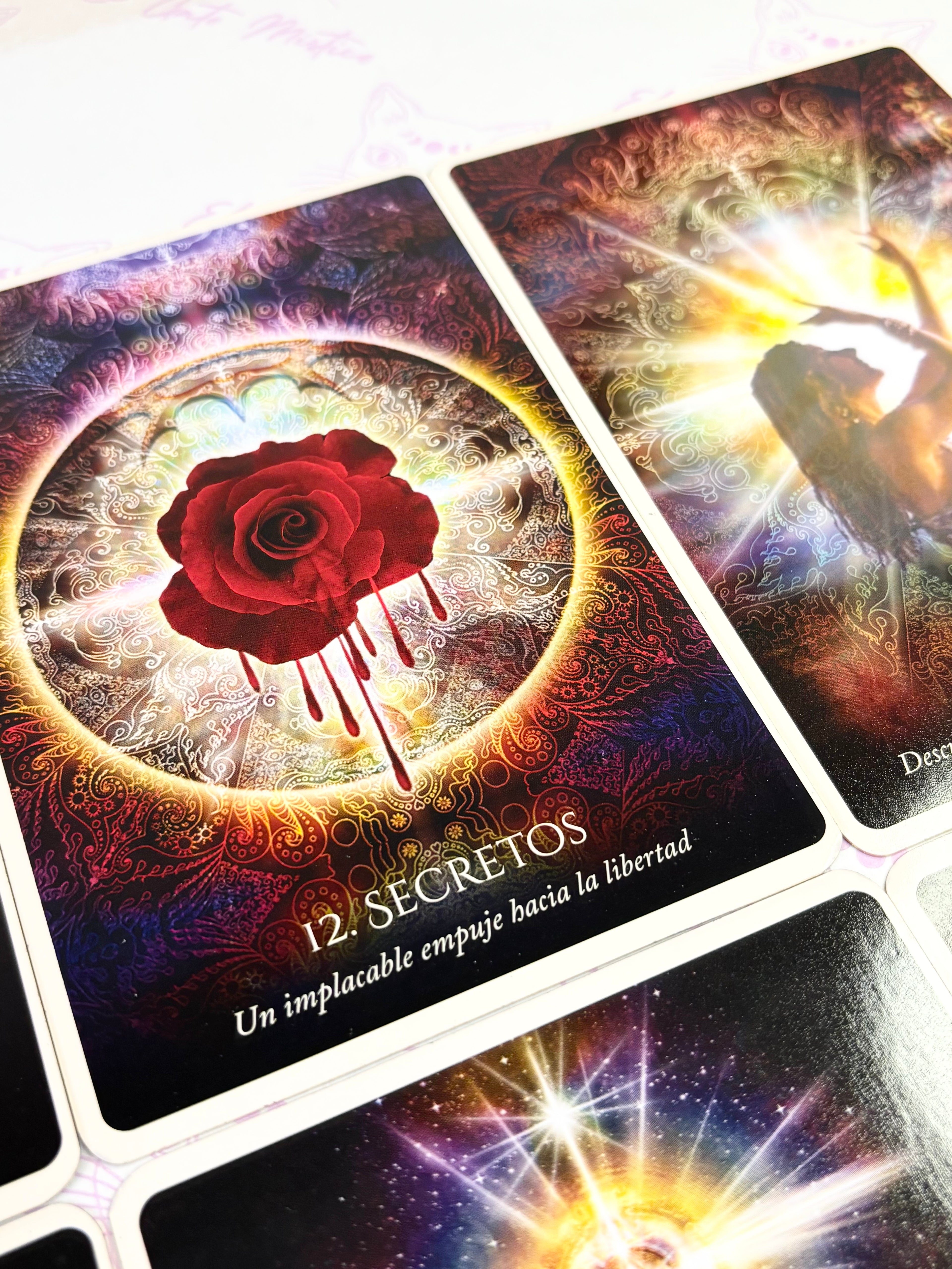 Oráculo El Lenguage Secreto de la Oscuridad | Transmisiones de la Luz del Alma desde la Sombra