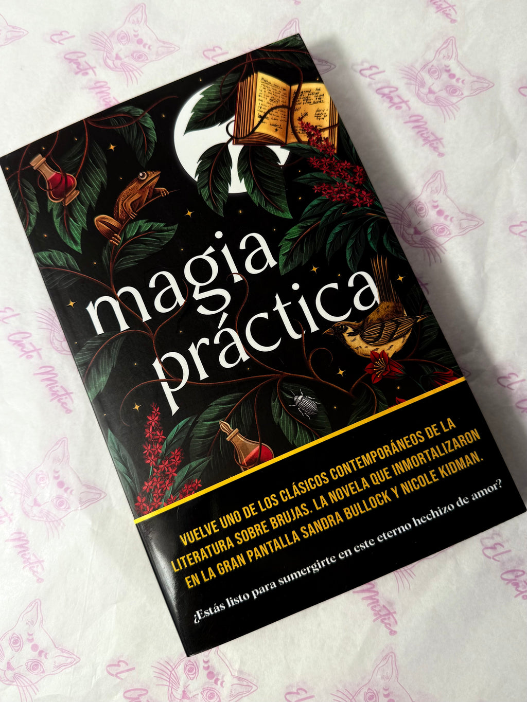 Magia Práctica | El libro de la famosa película “Prácticamente Magia”