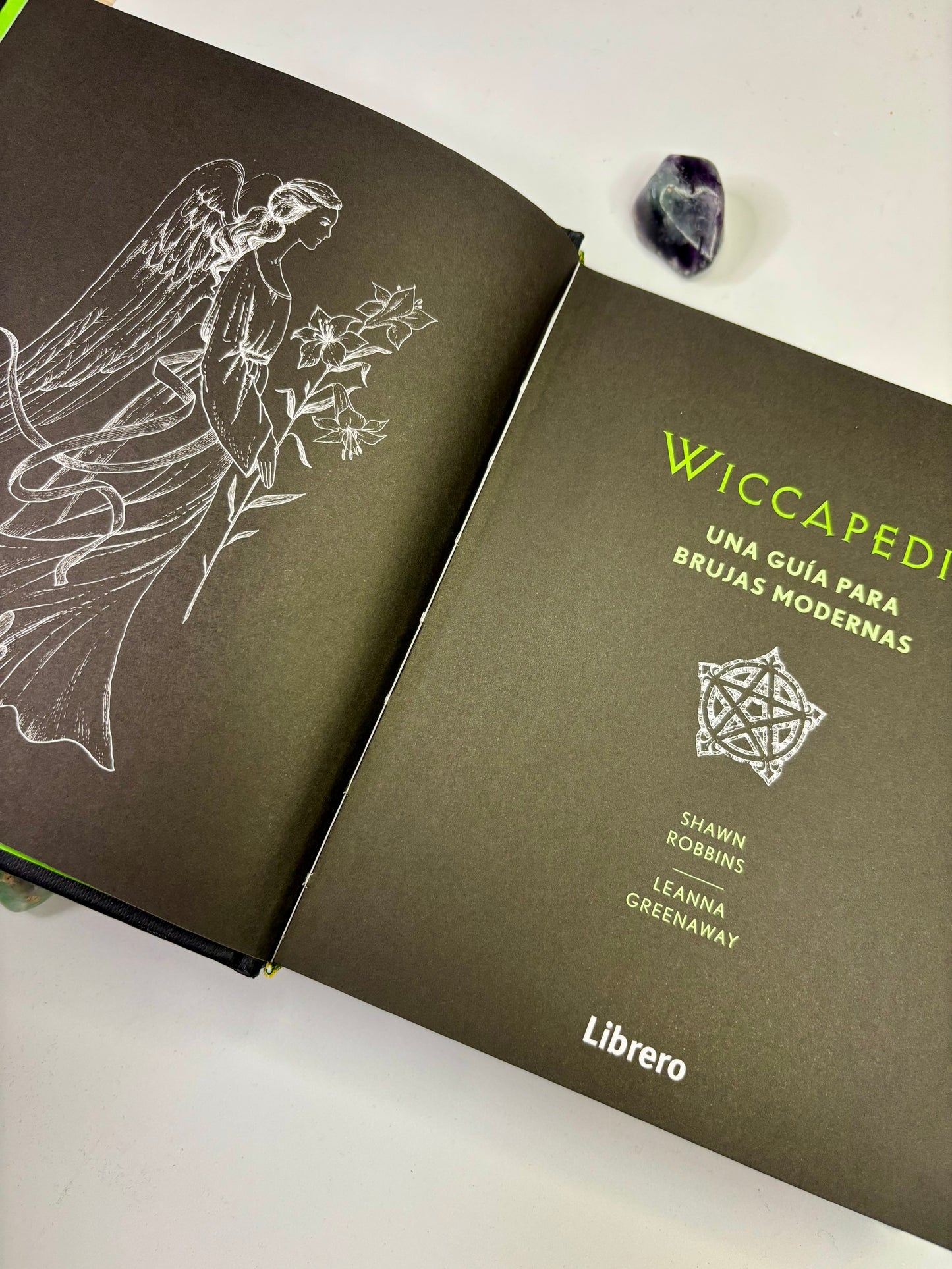 Wiccapedia Libro - Una guía para Brujas modernas