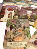 Astrología Herbal | Oráculo