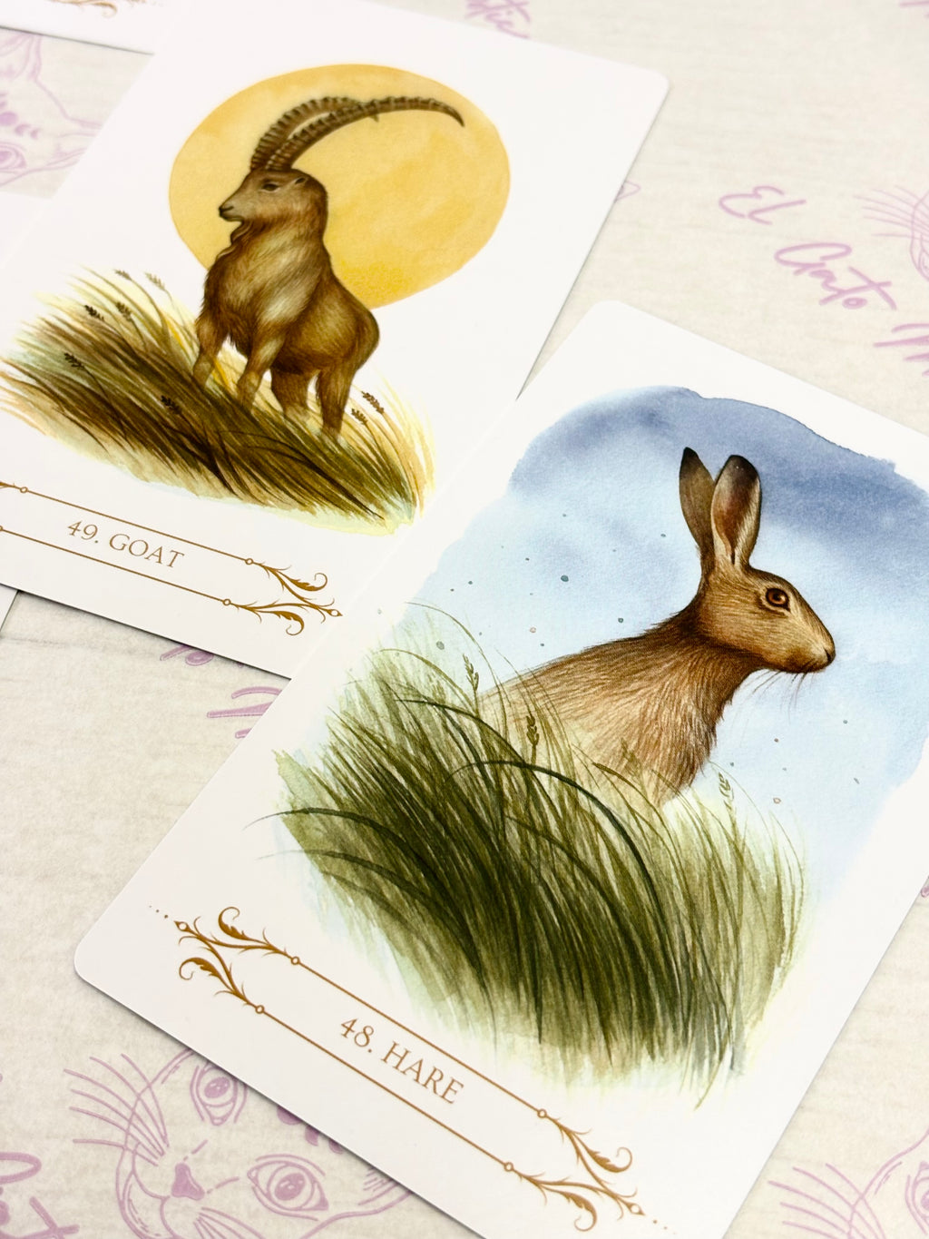 Oráculo A Compendium of Witches | Cartas+libro en 4 idiomas