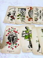 El Tarot de Anatomía y Botánica Antiguas | Baraja y Manual para el Lector Moderno