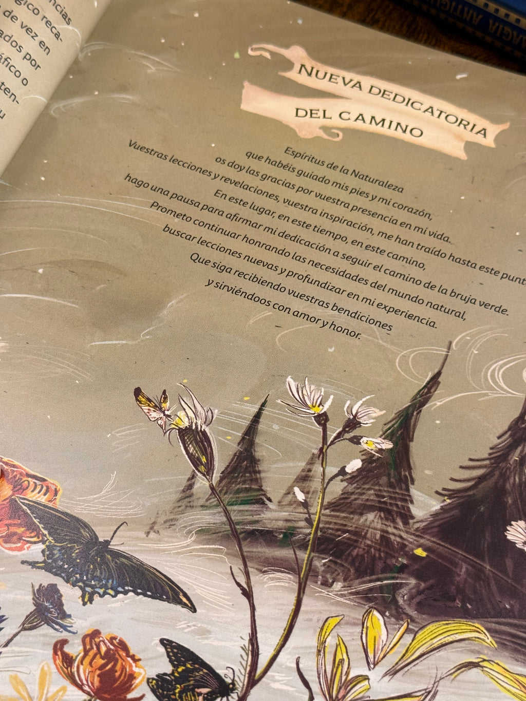 La Bruja Verde | Una mágica inmersión en el encanto de la brujería natural | Libro Ilustrado