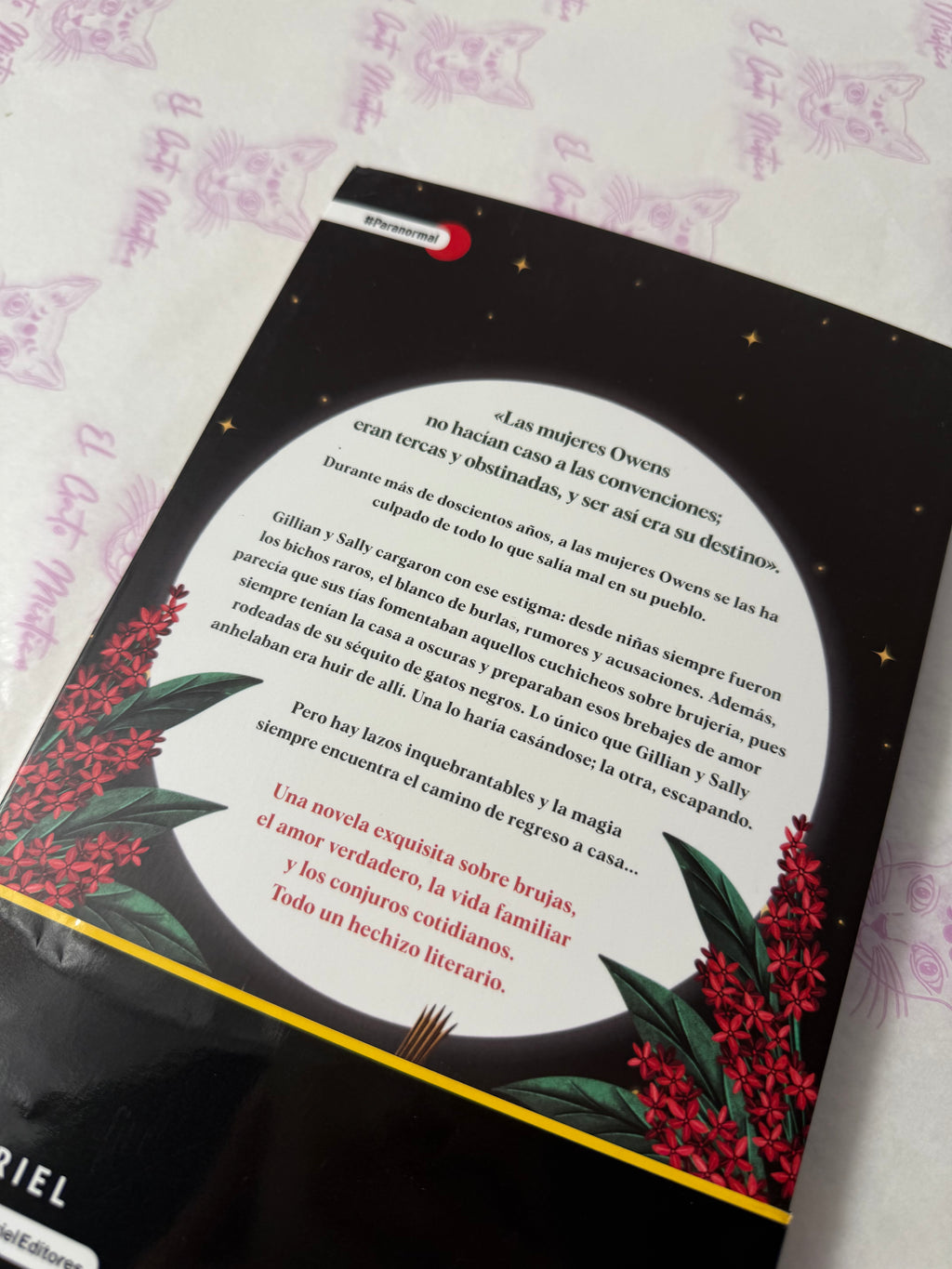 Magia Práctica | El libro de la famosa película “Prácticamente Magia”