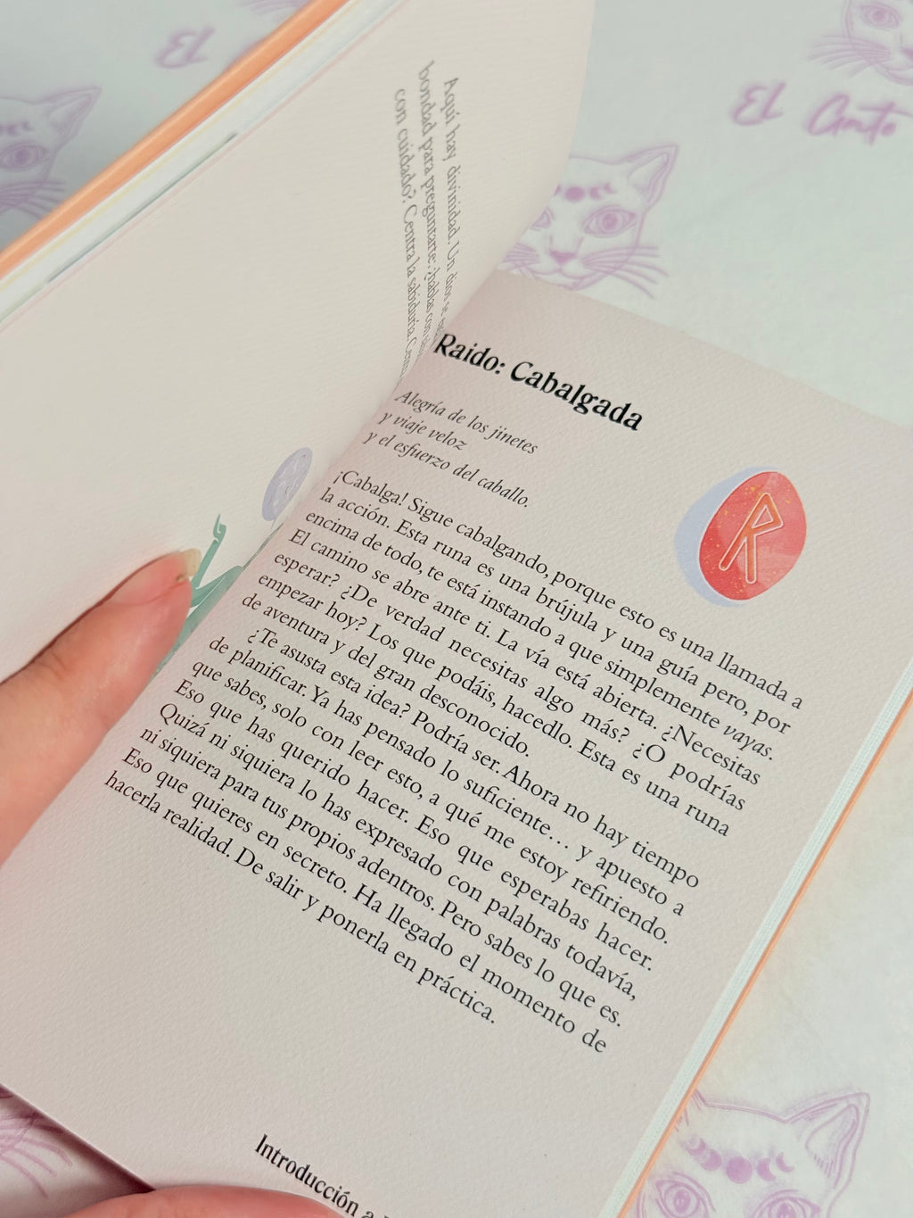 El pequeño Libro de las Runas