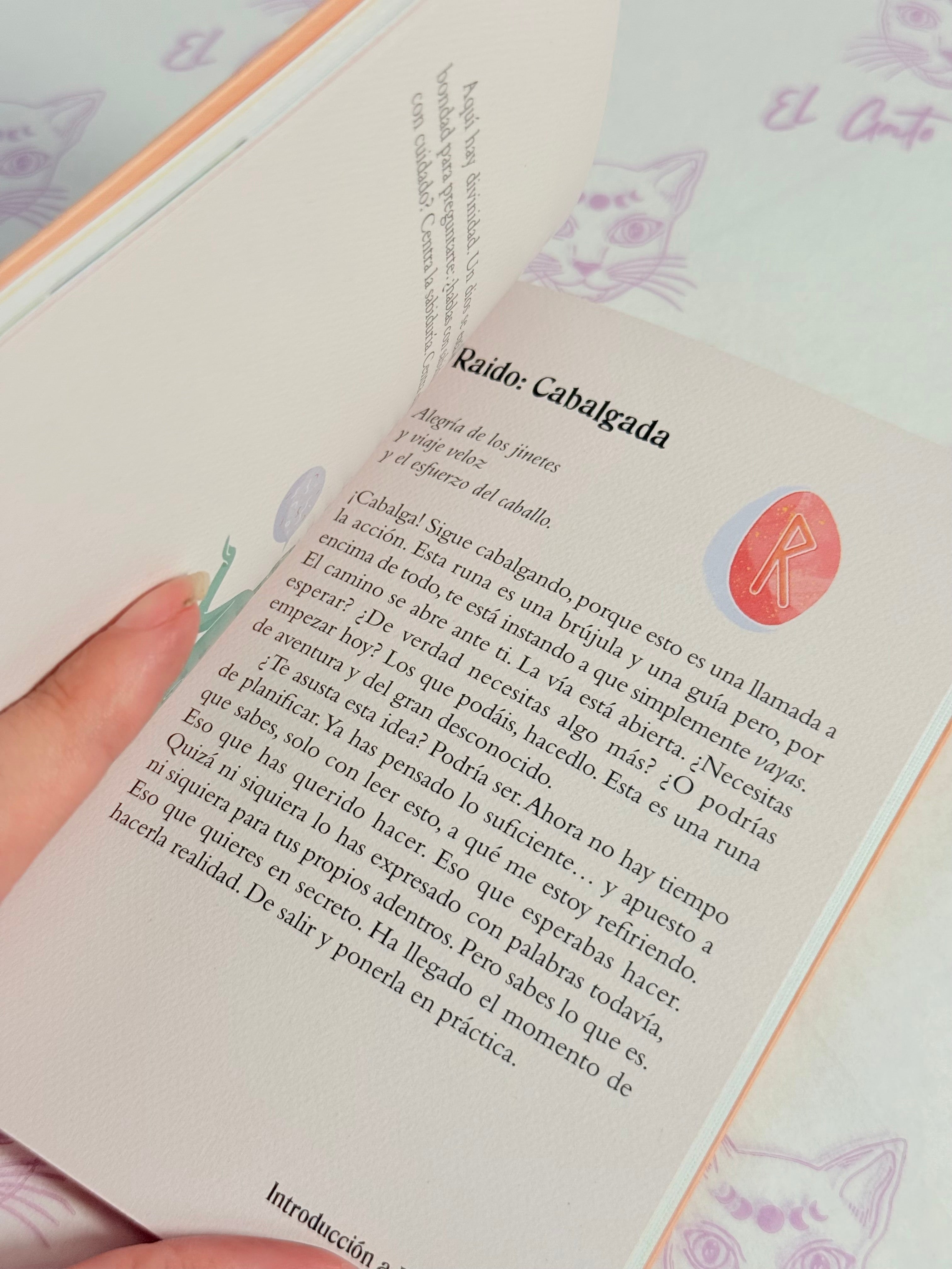 El pequeño Libro de las Runas