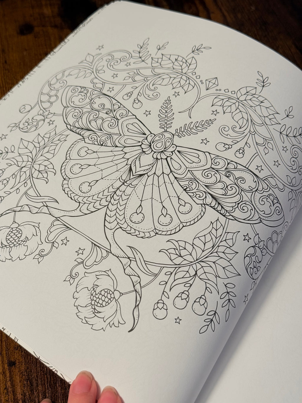 Mundos Mágicos: Una fantástica Aventura para colorear | Libro para adultos