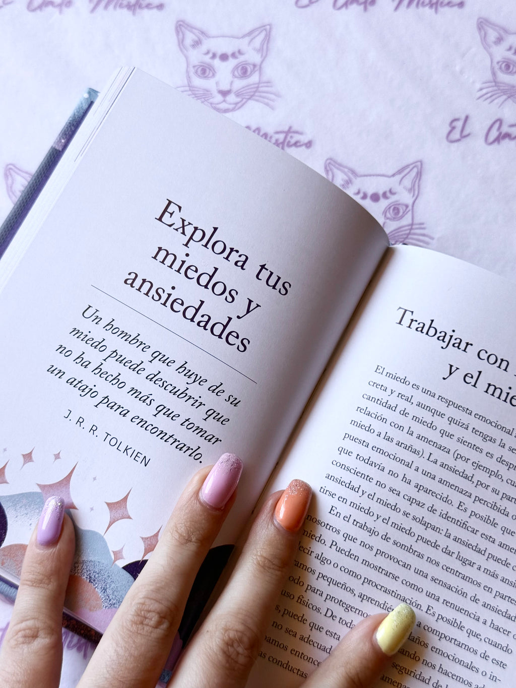 El pequeño libro del Trabajo de sombras