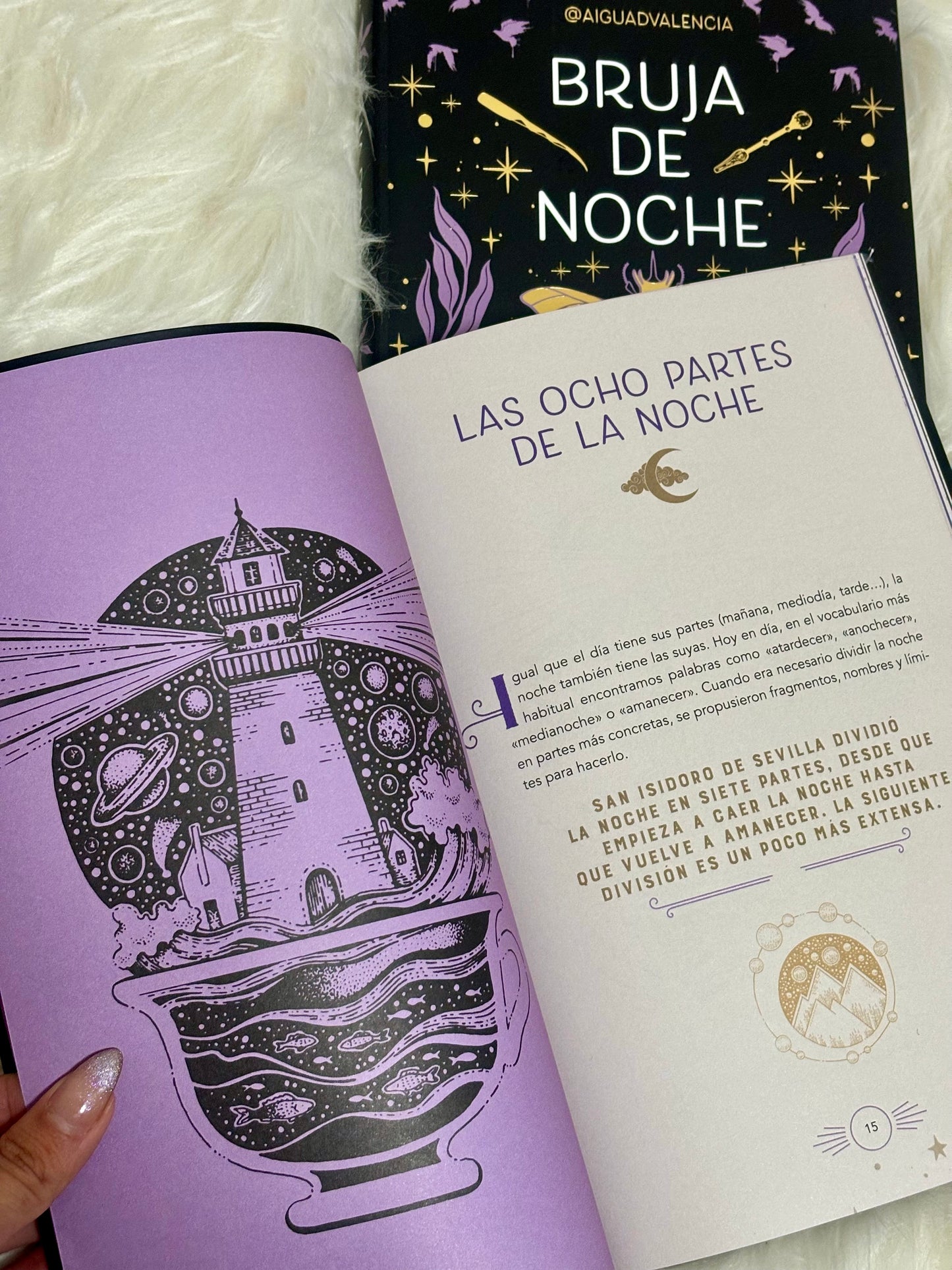 Libro Bruja de Noche