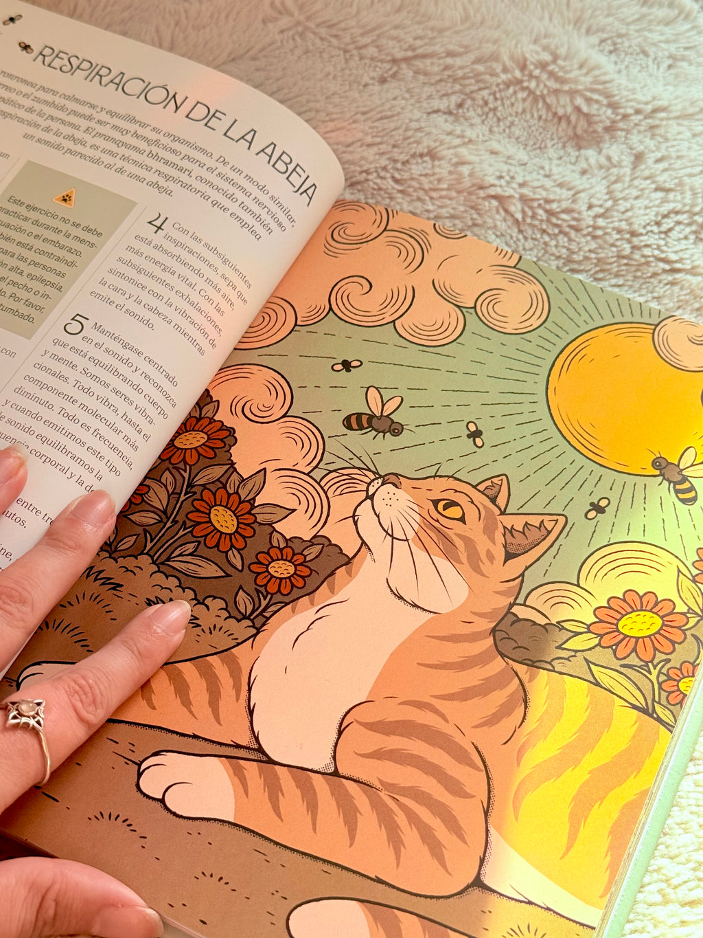 Gatos y Meditación | Guía de Ejercicios inspirados en los Felinos