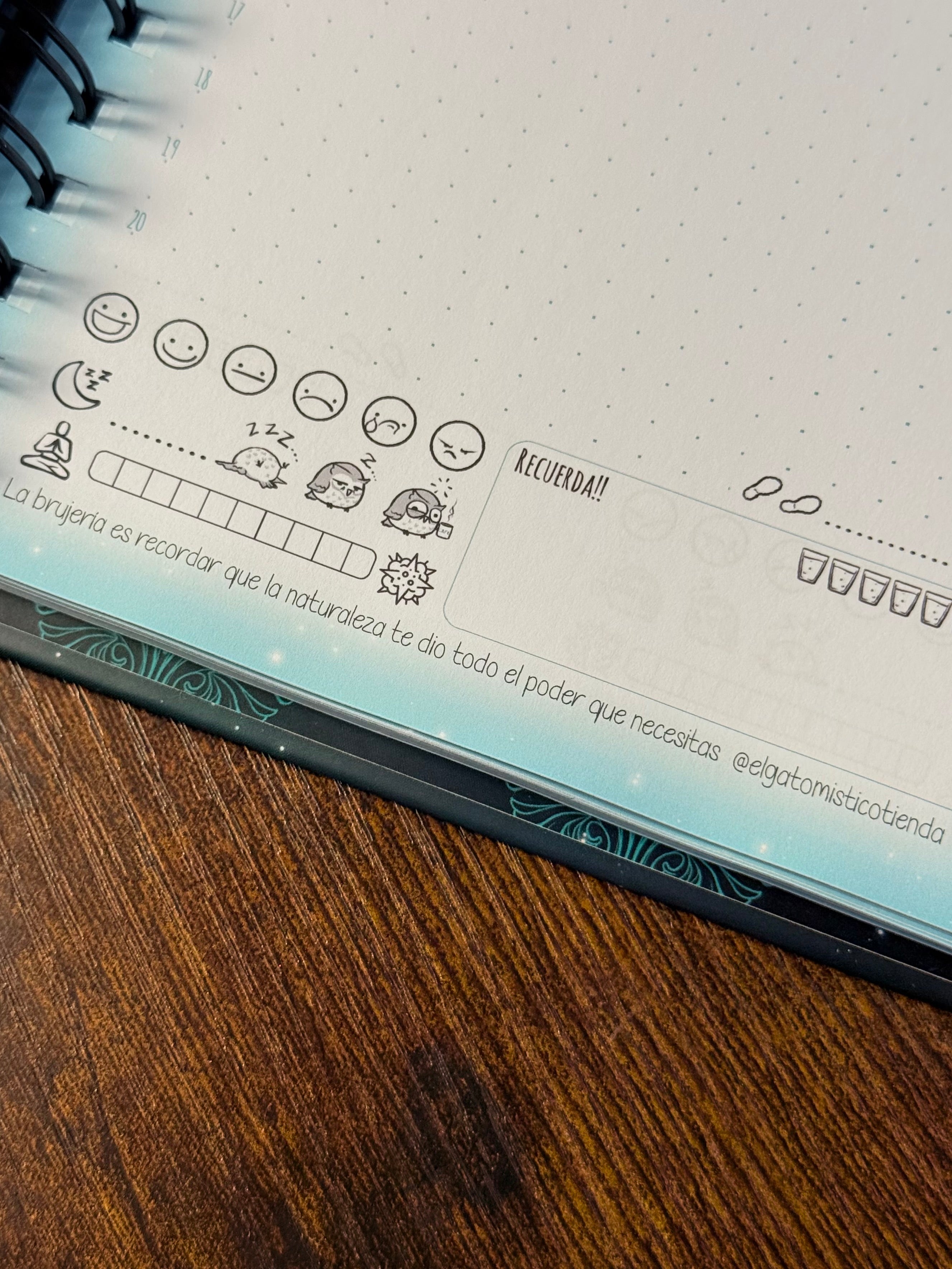 Agendas 2026 Stay Wild Moonchild | Año completo