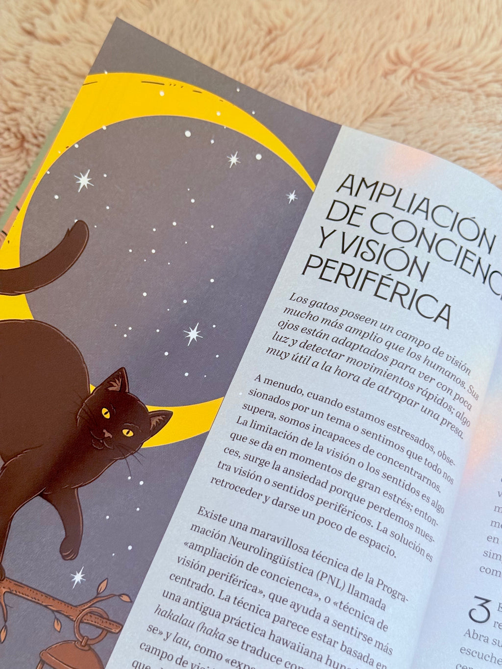 Gatos y Meditación | Guía de Ejercicios inspirados en los Felinos