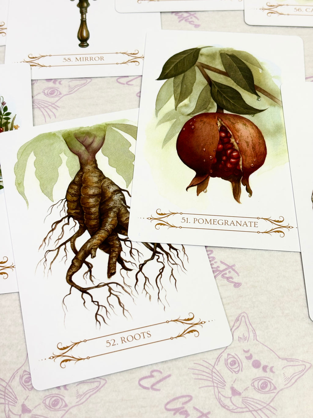 Oráculo A Compendium of Witches | Cartas+libro en 4 idiomas