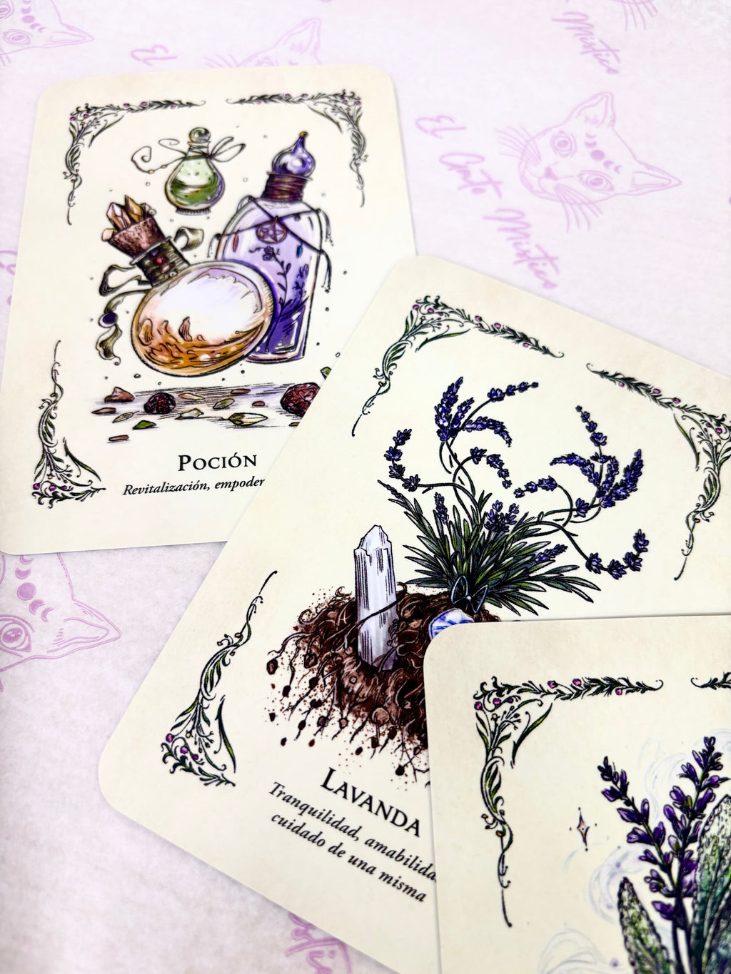 La Bruja Verde | El Oráculo