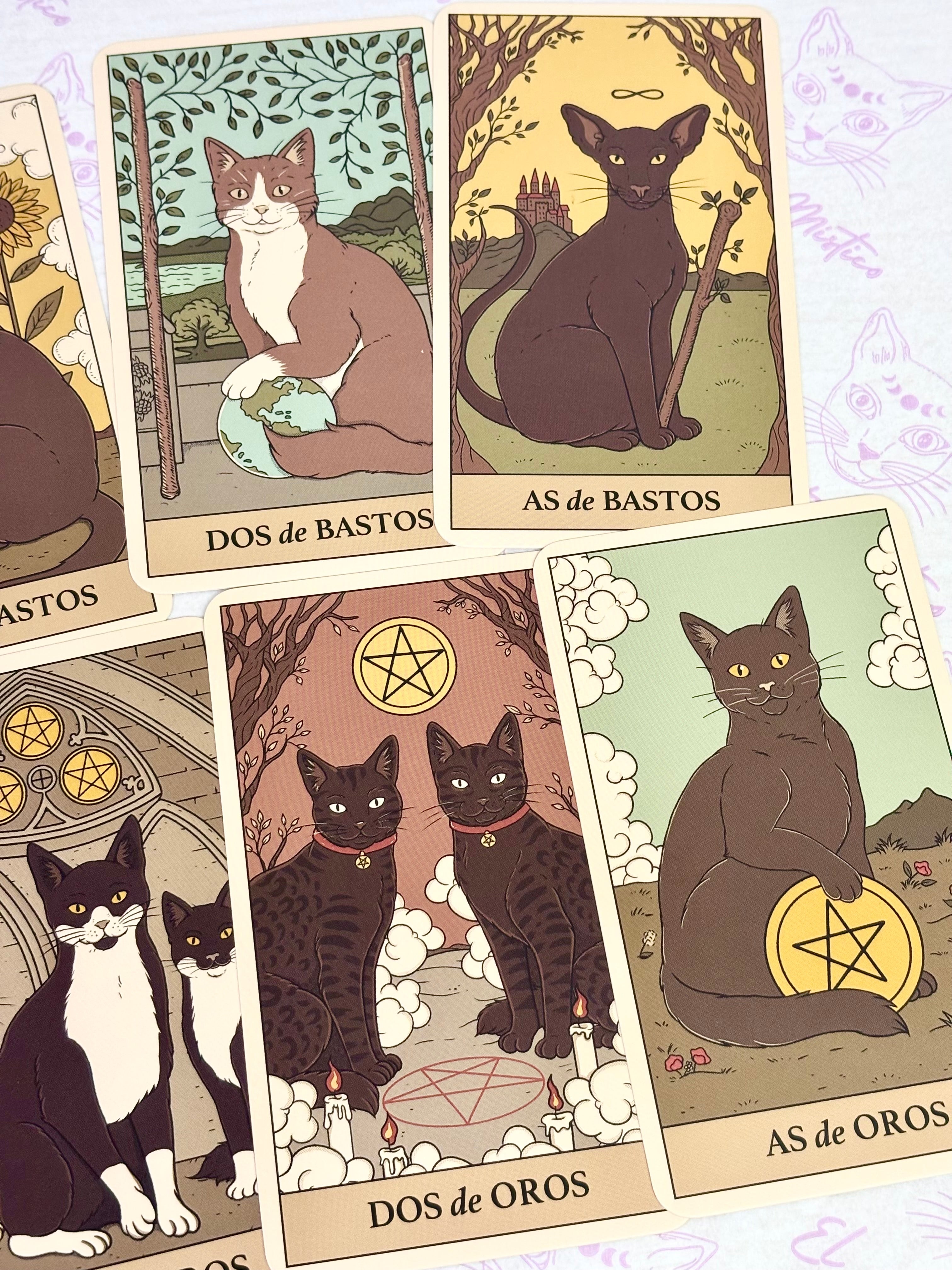 The Tarot of Cats. Book and cards box