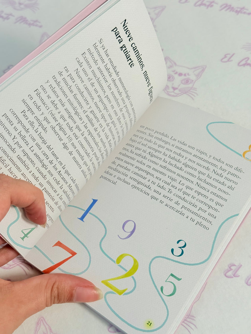 El pequeño Libro de la Numerología