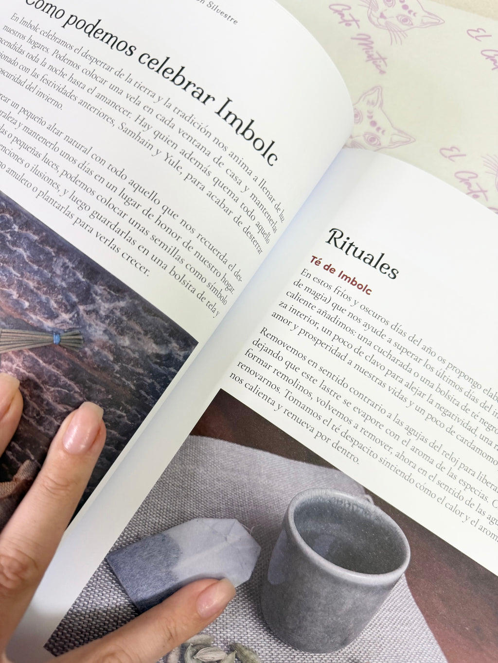 Tradición Silvestre | Celebra la Rueda del Año y te conecta con la naturaleza y sus ciclos